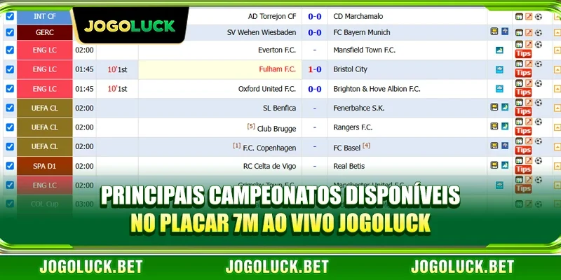 Principais campeonatos disponíveis no Placar 7m ao vivo JOGOLUCK